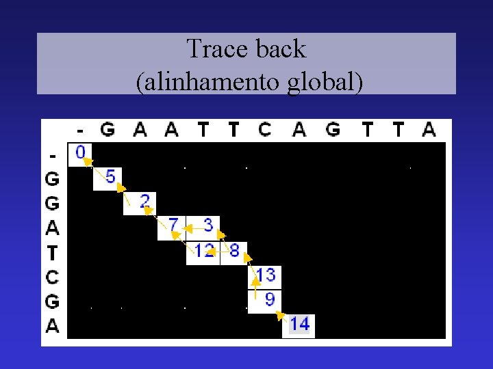 Trace back (alinhamento global) 