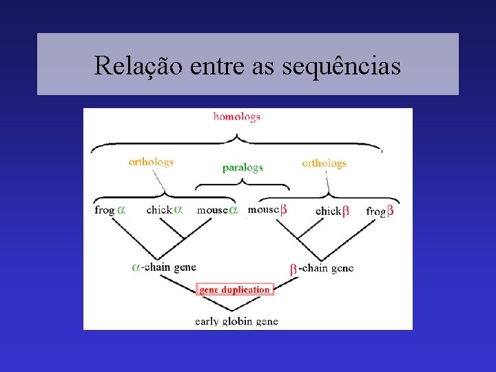 Relação entre as sequências 