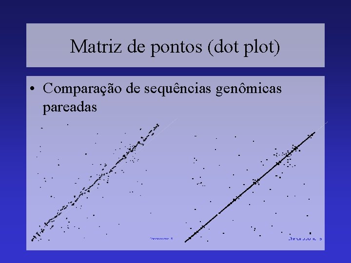 Matriz de pontos (dot plot) • Comparação de sequências genômicas pareadas 