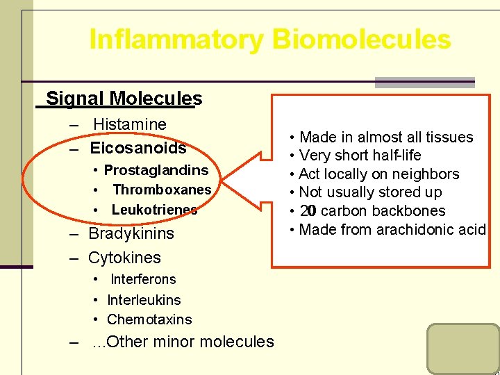 Autacoids III EICOSANOIDS prostaglandins thromboxanes leukotrienes ...