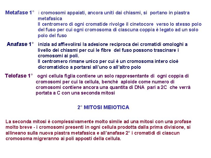 Metafase 1° i cromosomi appaiati, ancora uniti dai chiasmi, si portano in piastra metafasica