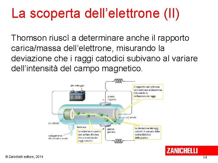 La scoperta dell’elettrone (II) Thomson riuscì a determinare anche il rapporto carica/massa dell’elettrone, misurando