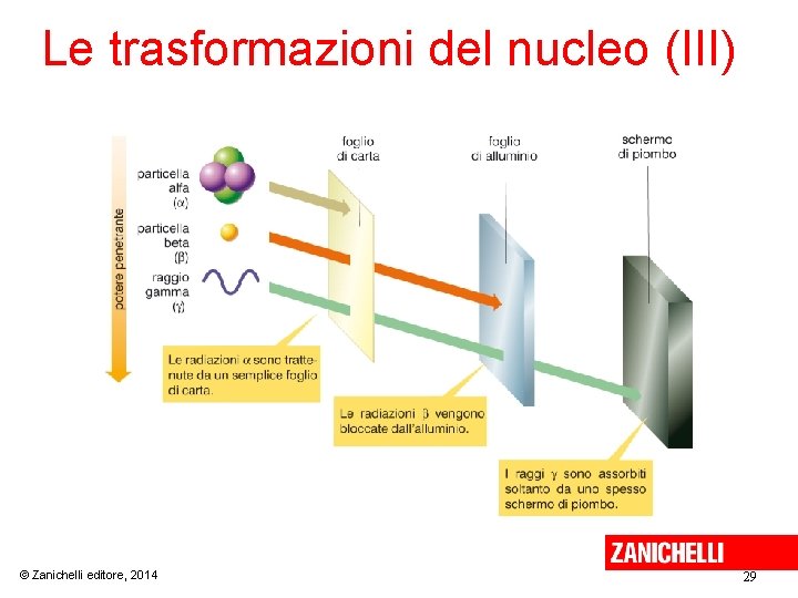 Le trasformazioni del nucleo (III) © Zanichelli editore, 2014 29 