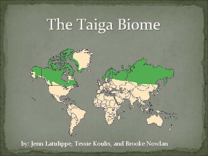The Taiga Biome by: Jenn Latulippe, Tessie Koulis, and Brooke Nowlan 