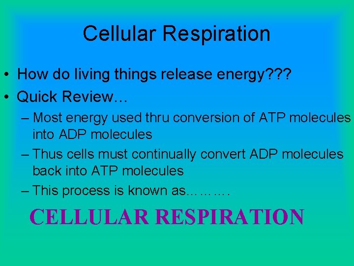 Cellular Respiration • How do living things release energy? ? ? • Quick Review…