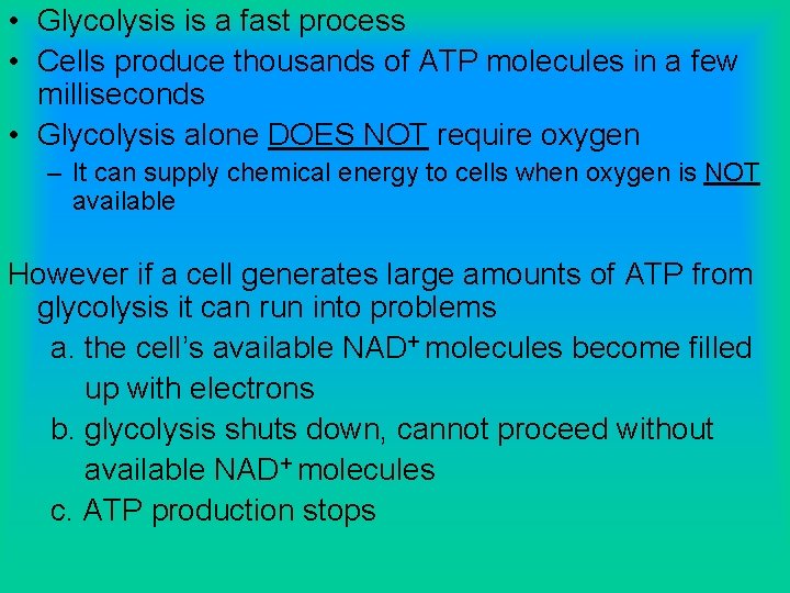  • Glycolysis is a fast process • Cells produce thousands of ATP molecules