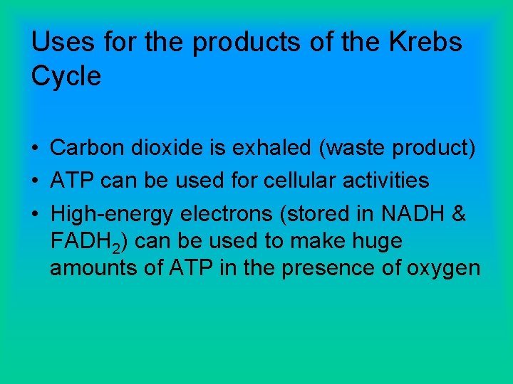 Uses for the products of the Krebs Cycle • Carbon dioxide is exhaled (waste