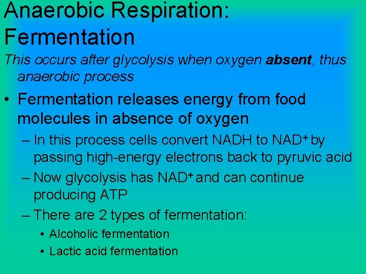 Anaerobic Respiration: Fermentation This occurs after glycolysis when oxygen absent, thus anaerobic process •