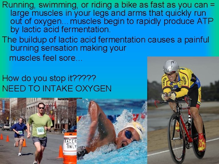 Running, swimming, or riding a bike as fast as you can = large muscles