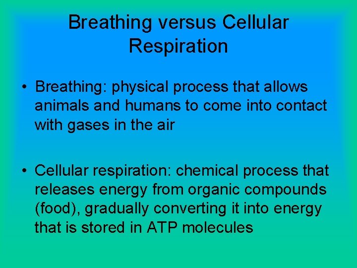 Breathing versus Cellular Respiration • Breathing: physical process that allows animals and humans to