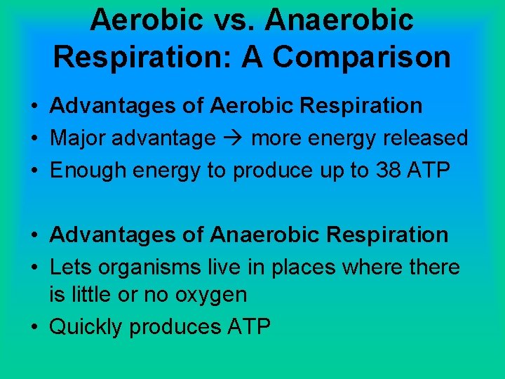 Aerobic vs. Anaerobic Respiration: A Comparison • Advantages of Aerobic Respiration • Major advantage