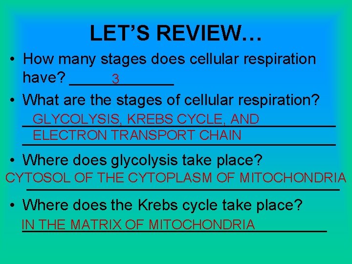 LET’S REVIEW… • How many stages does cellular respiration have? ______ 3 • What