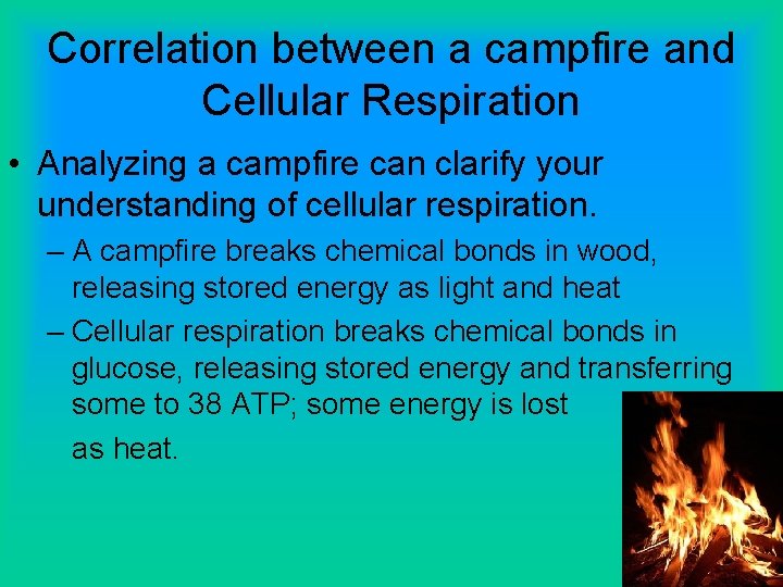 Correlation between a campfire and Cellular Respiration • Analyzing a campfire can clarify your