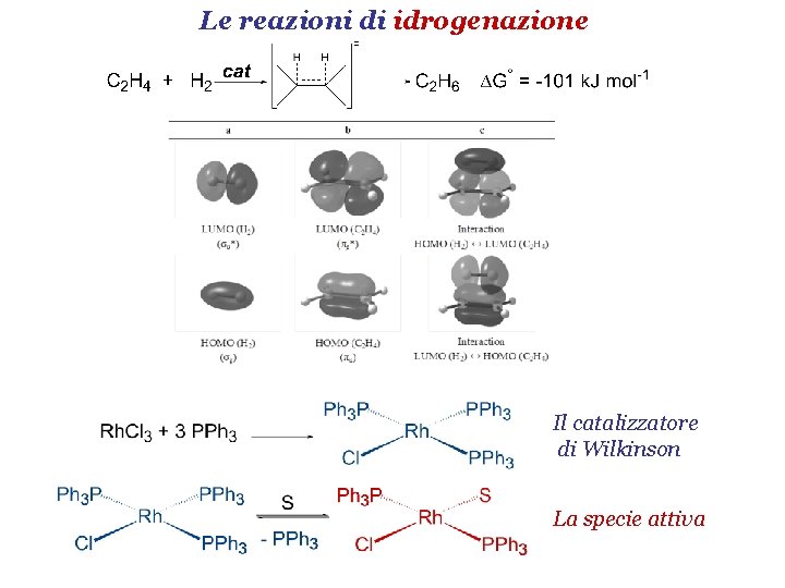 Le reazioni di idrogenazione Il catalizzatore di Wilkinson La specie attiva 