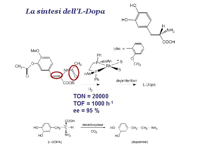 La sintesi dell’L-Dopa TON = 20000 TOF = 1000 h-1 ee = 95 %