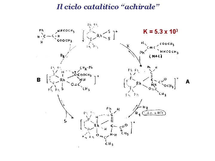 Il ciclo catalitico “achirale” K = 5. 3 x 103 B A 