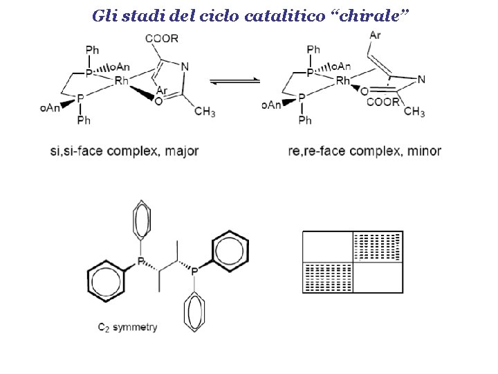 Gli stadi del ciclo catalitico “chirale” 