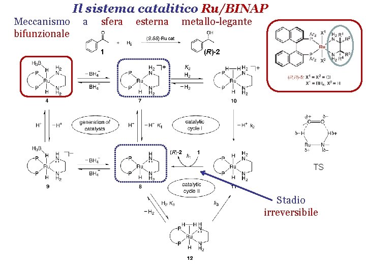 Il sistema catalitico Ru/BINAP Meccanismo bifunzionale a sfera 1 esterna metallo-legante (R)-2 TS Stadio