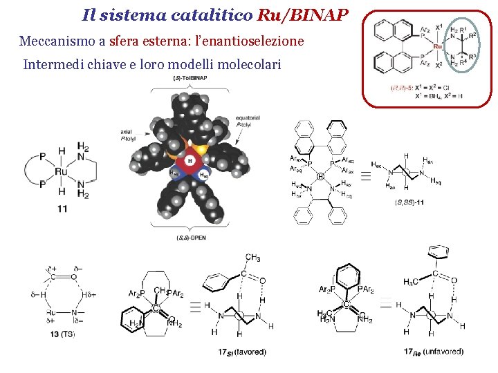 Il sistema catalitico Ru/BINAP Meccanismo a sfera esterna: l’enantioselezione Intermedi chiave e loro modelli