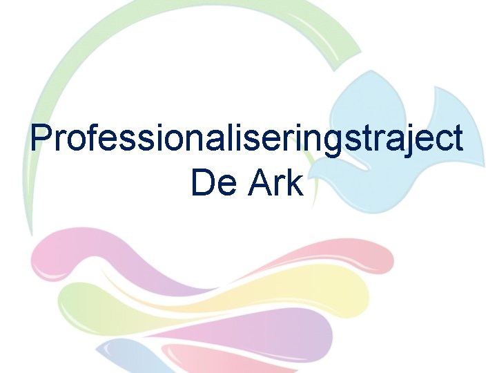 Professionaliseringstraject De Ark 