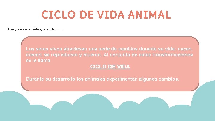 CICLO DE VIDA ANIMAL Luego de ver el video, recordemos … Los seres vivos