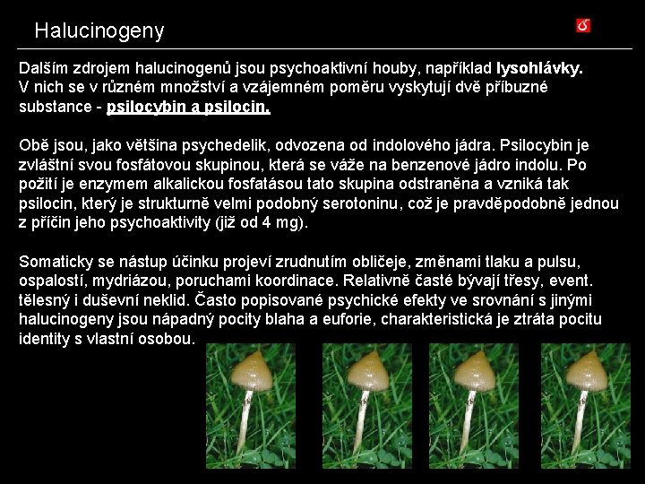 Halucinogeny Dalším zdrojem halucinogenů jsou psychoaktivní houby, například lysohlávky. V nich se v různém
