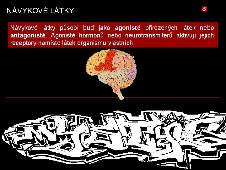 NÁVYKOVÉ LÁTKY Návykové látky působí buď jako agonisté přirozených látek nebo antagonisté. Agonisté hormonů
