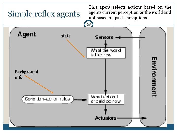 Simple reflex agents This agent selects actions based on the agents current perception or