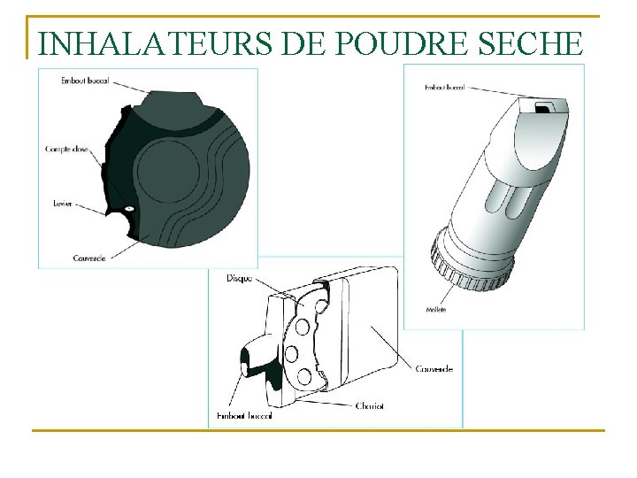 INHALATEURS DE POUDRE SECHE 