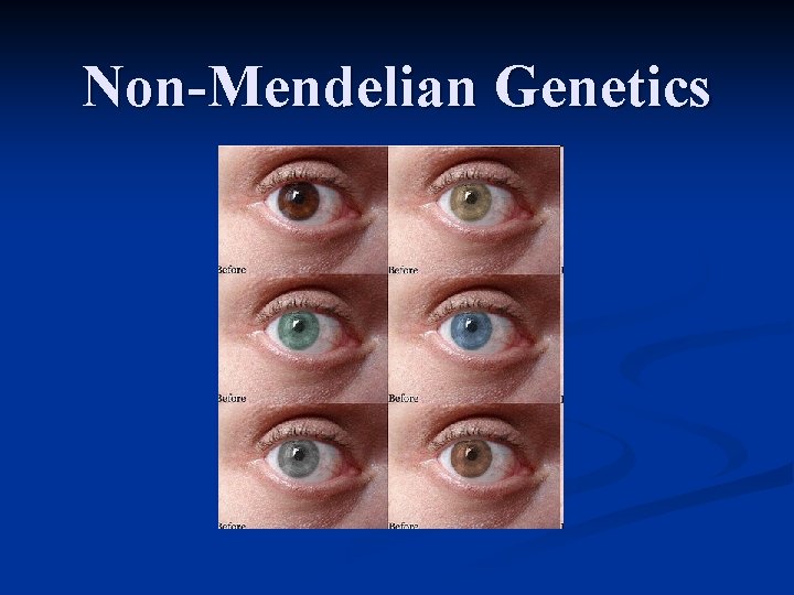 Non-Mendelian Genetics 