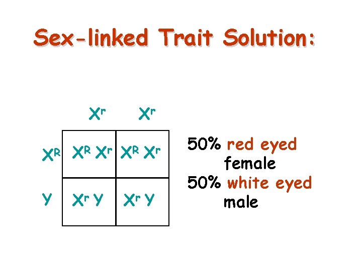 Sex-linked Trait Solution: Xr XR XR Xr Y Xr XR Xr Xr Y 50%