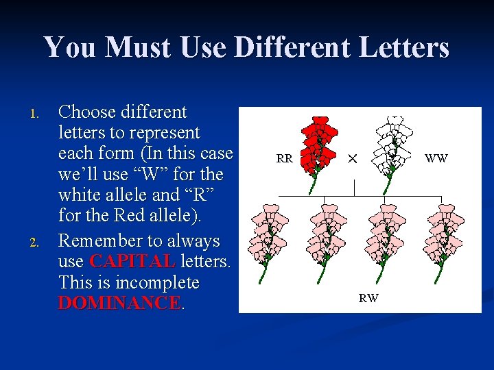 You Must Use Different Letters 1. 2. Choose different letters to represent each form