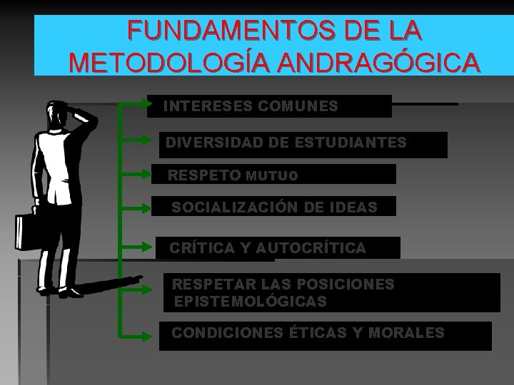FUNDAMENTOS DE LA METODOLOGÍA ANDRAGÓGICA INTERESES COMUNES DIVERSIDAD DE ESTUDIANTES RESPETO MUTUO SOCIALIZACIÓN DE