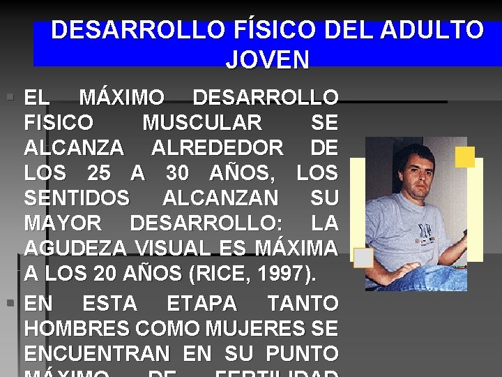 DESARROLLO FÍSICO DEL ADULTO JOVEN § EL MÁXIMO DESARROLLO FISICO MUSCULAR SE ALCANZA ALREDEDOR