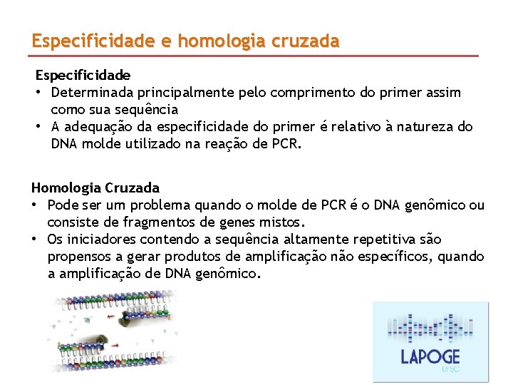 Especificidade e homologia cruzada Especificidade • Determinada principalmente pelo comprimento do primer assim como Especificidade e homologia cruzada Especificidade • Determinada principalmente pelo comprimento do primer assim como