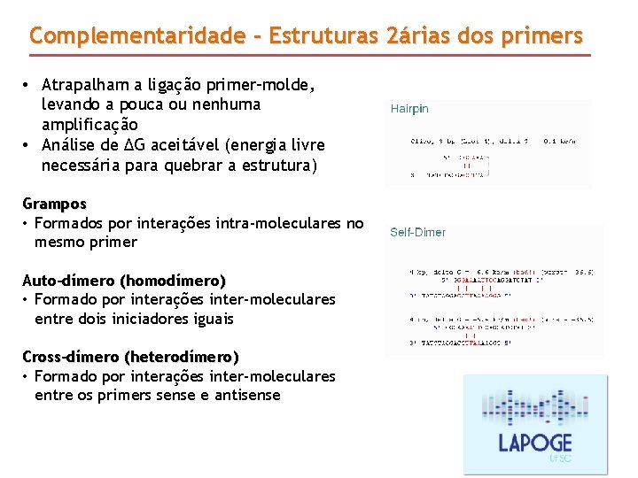 Complementaridade - Estruturas 2árias dos primers • Atrapalham a ligação primer-molde, levando a pouca Complementaridade - Estruturas 2árias dos primers • Atrapalham a ligação primer-molde, levando a pouca