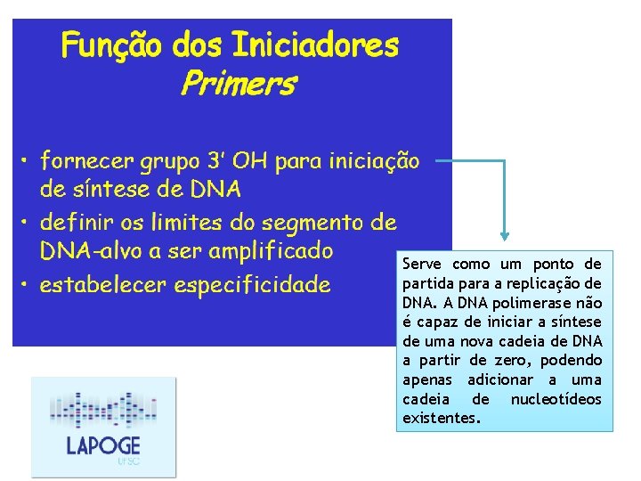 Serve como um ponto de partida para a replicação de DNA. A DNA polimerase Serve como um ponto de partida para a replicação de DNA. A DNA polimerase