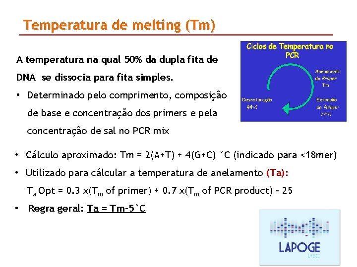 Temperatura de melting (Tm) A temperatura na qual 50% da dupla fita de DNA Temperatura de melting (Tm) A temperatura na qual 50% da dupla fita de DNA