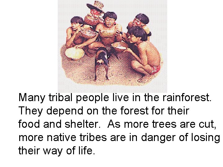 Many tribal people live in the rainforest. They depend on the forest for their