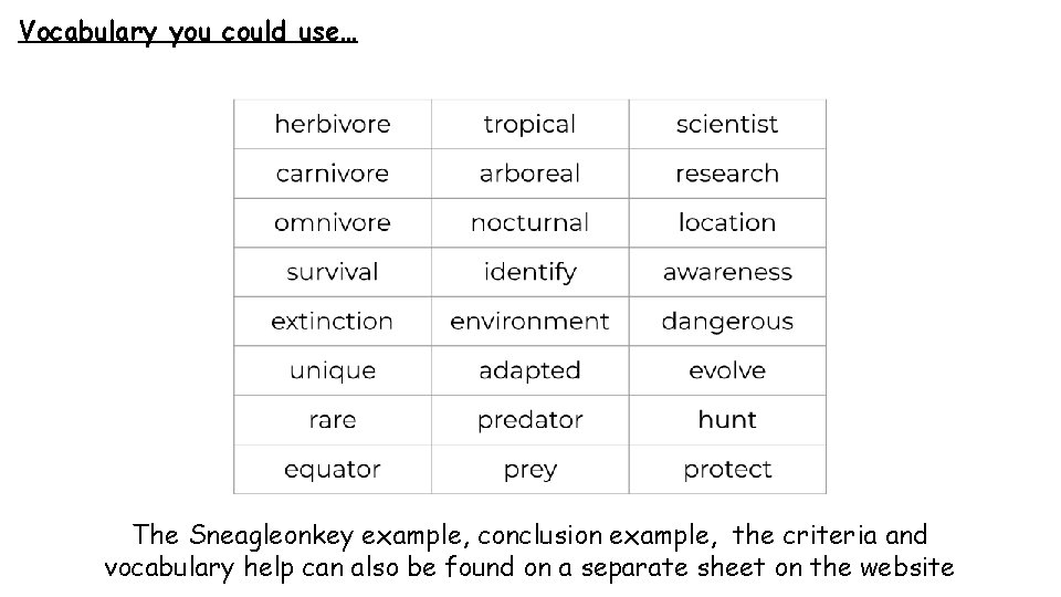 Vocabulary you could use… The Sneagleonkey example, conclusion example, the criteria and vocabulary help