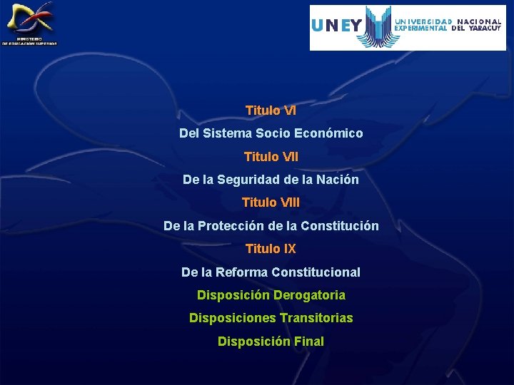 Titulo VI Del Sistema Socio Económico Titulo VII De la Seguridad de la Nación