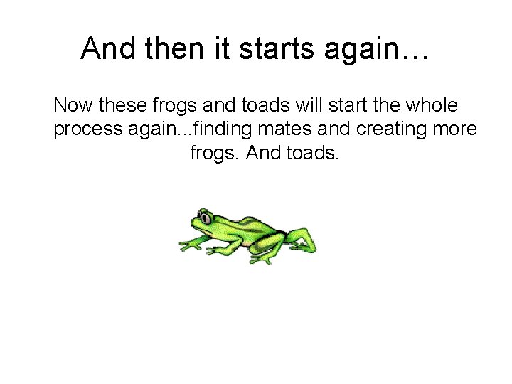 And then it starts again… Now these frogs and toads will start the whole