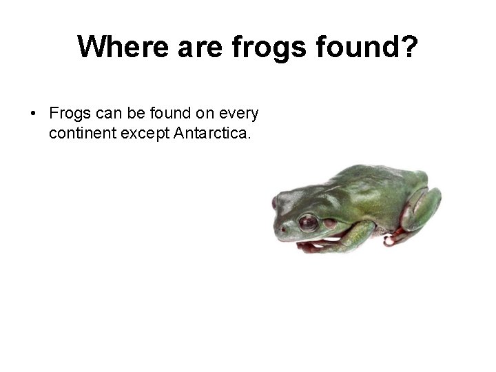 Where are frogs found? • Frogs can be found on every continent except Antarctica.