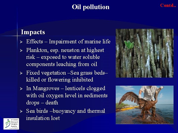  Oil pollution Impacts Ø Ø Ø Effects – Impairment of marine life Plankton,