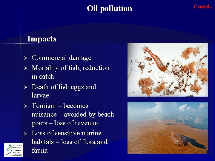  Oil pollution Impacts Ø Ø Ø Commercial damage Mortality of fish, reduction in