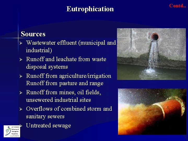 Eutrophication Sources Ø Ø Ø Wastewater effluent (municipal and industrial) Runoff and leachate from