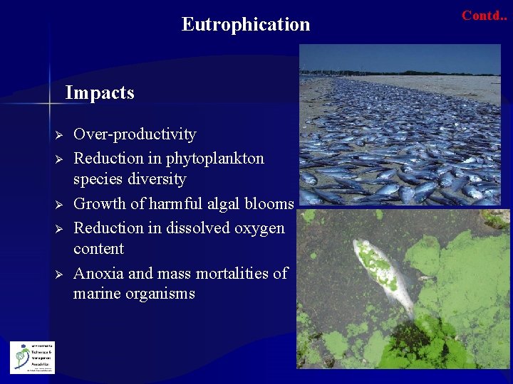 Eutrophication Impacts Ø Ø Ø Over-productivity Reduction in phytoplankton species diversity Growth of harmful