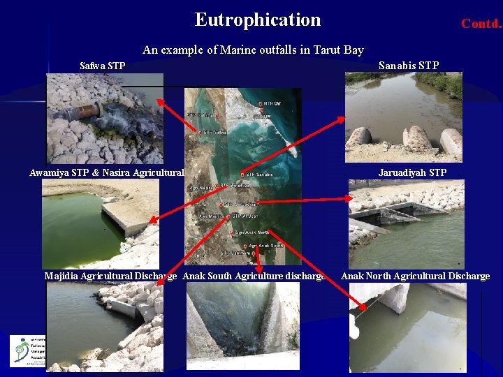 Eutrophication Contd. . An example of Marine outfalls in Tarut Bay Sanabis STP Safwa