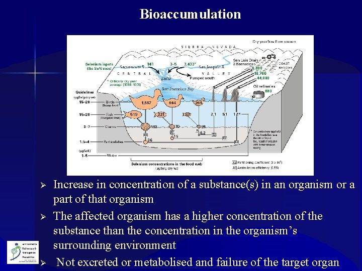 Bioaccumulation Ø Ø Ø Increase in concentration of a substance(s) in an organism or