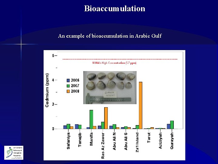 Bioaccumulation An example of bioaccumulation in Arabic Gulf 